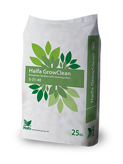 Image GrowClean